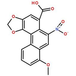 生物技術 開啟生命科學的無限可能
