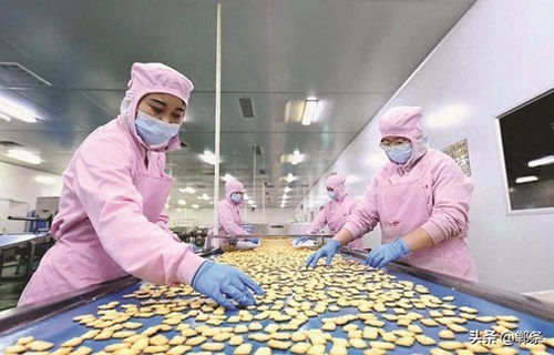 生物技術驅動邱縣食品產業新圖景 創新、升級與可持續發展